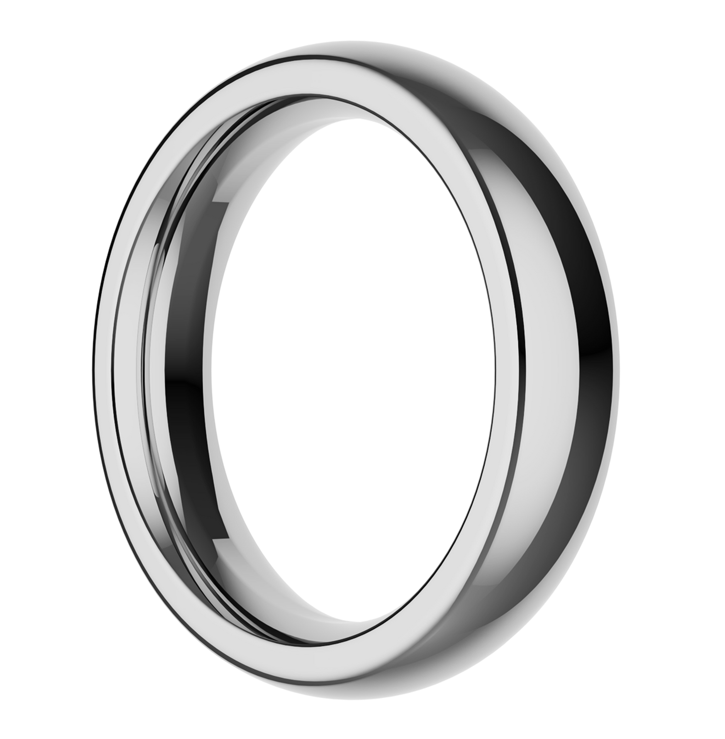 The Stainless Steel Ring by Closet (M)