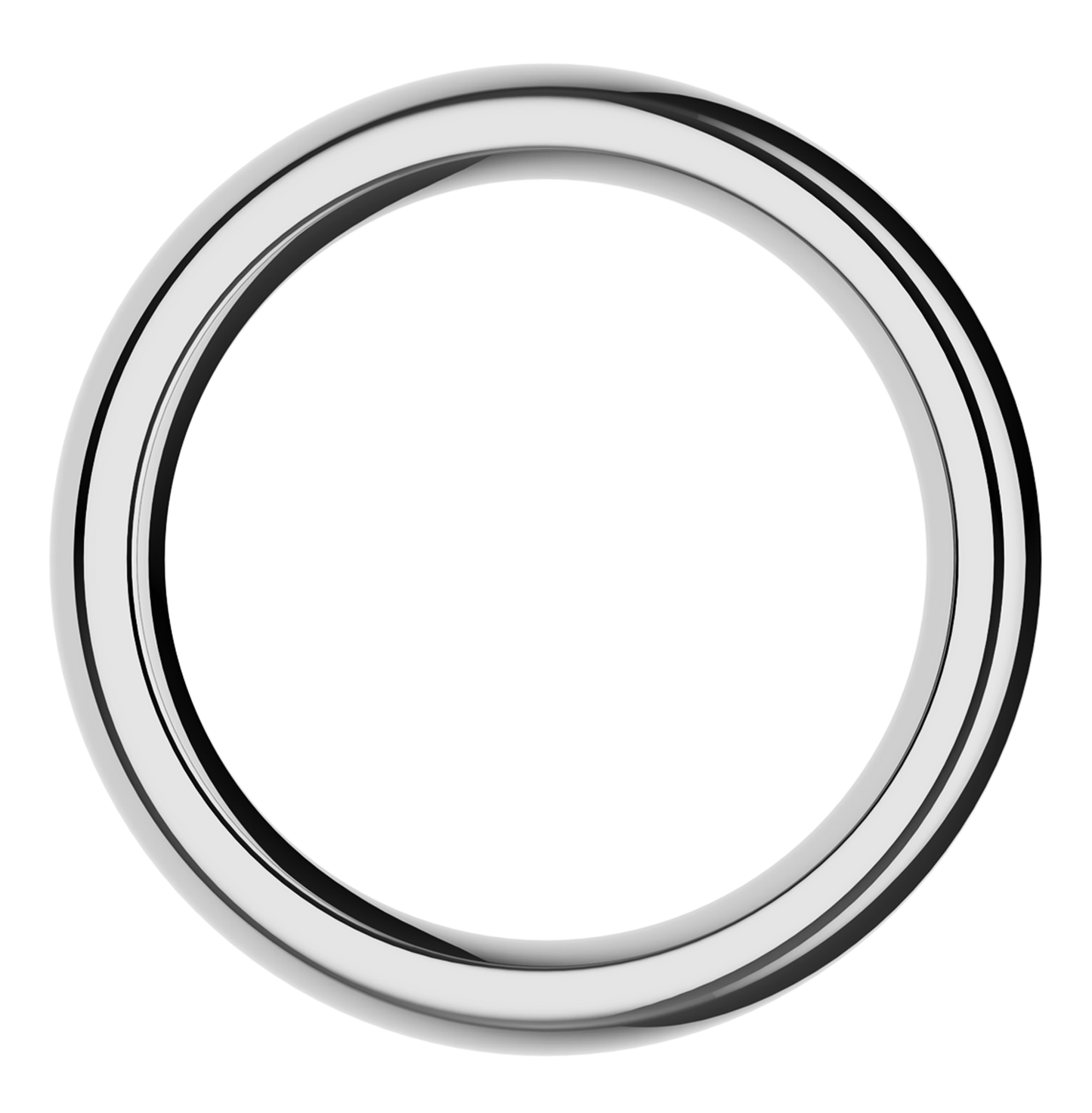 The Stainless Steel Ring by Closet (M)