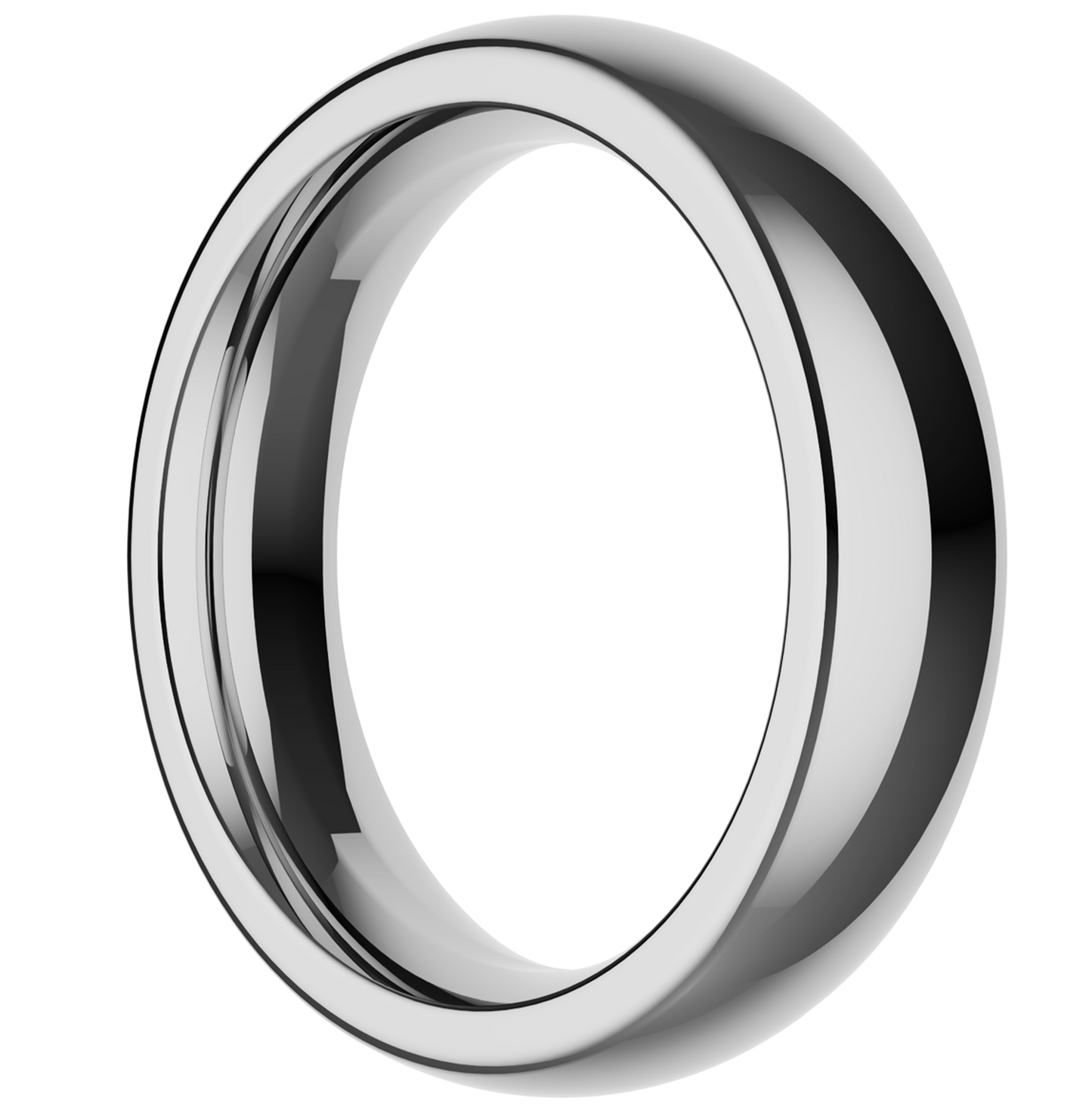 The Stainless Steel Ring by Closet (L)
