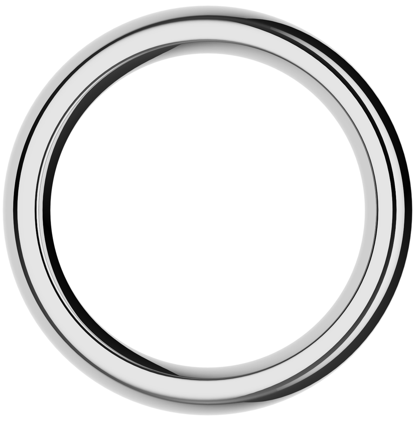 The Stainless Steel Ring by Closet (L)