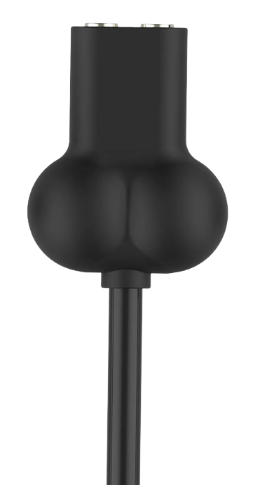 Anal Wand by Closet