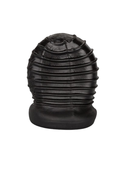 Packer Gear FTM Stroker