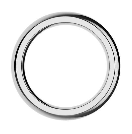 The Stainless Steel Ring by Closet (S)