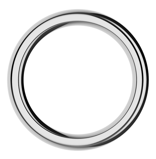The Stainless Steel Ring by Closet (M)