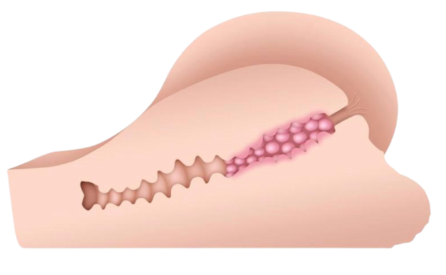 Gender X Handful Anal Masturbator